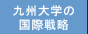 ��B��w�̍��ې헪